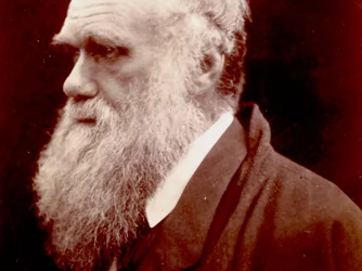 Ritratto di Charles Darwin, 1859